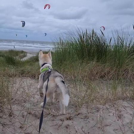 Villa Surfin Koksijde Esterno foto